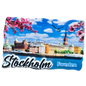 Stockholm panorama fridge magnet midi