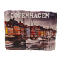 Copenhagen fridge magnet N.9 - Magneter