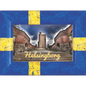 Helsingborg Castle fridge magnet 002 - fridge magnet