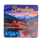 SWEDEN MOOSE FRIDGE MAGNET