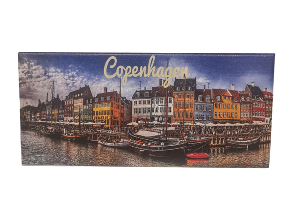 Copenhagen panorama fridge magnet