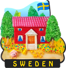 SWEDISH HUS